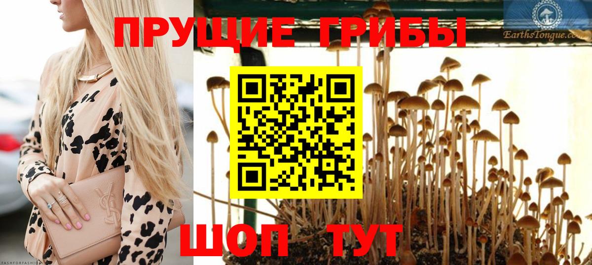 Михайловка  Псилоцибиновые грибы мухоморы  Вход с VPN  Галлюциногенные грибы GOLDEN TEACHER 